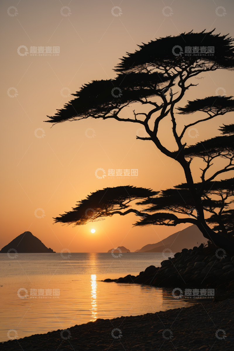 高清大图下载【趣麦麦图】海边落日下的孤树景观