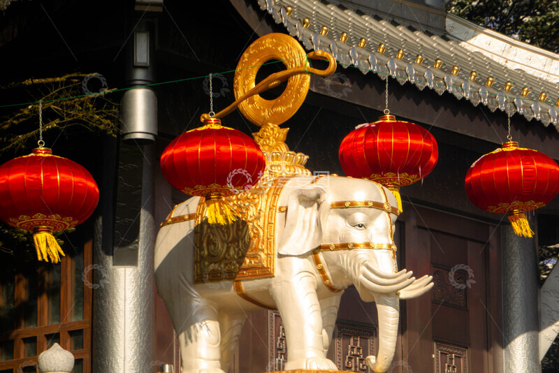 高清大图下载【趣麦麦图】峨眉山六牙吉象摄影