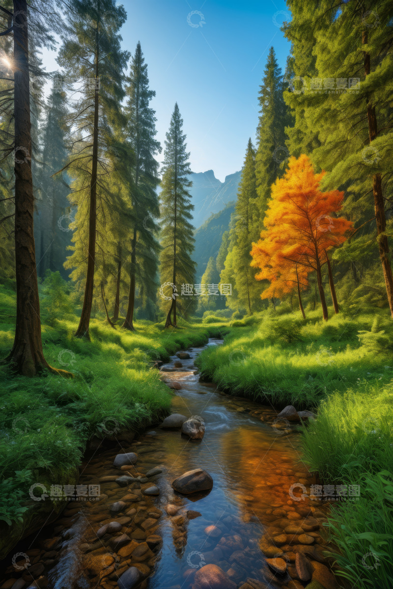 高清大图下载【趣麦麦图】森林中流淌的清澈溪流