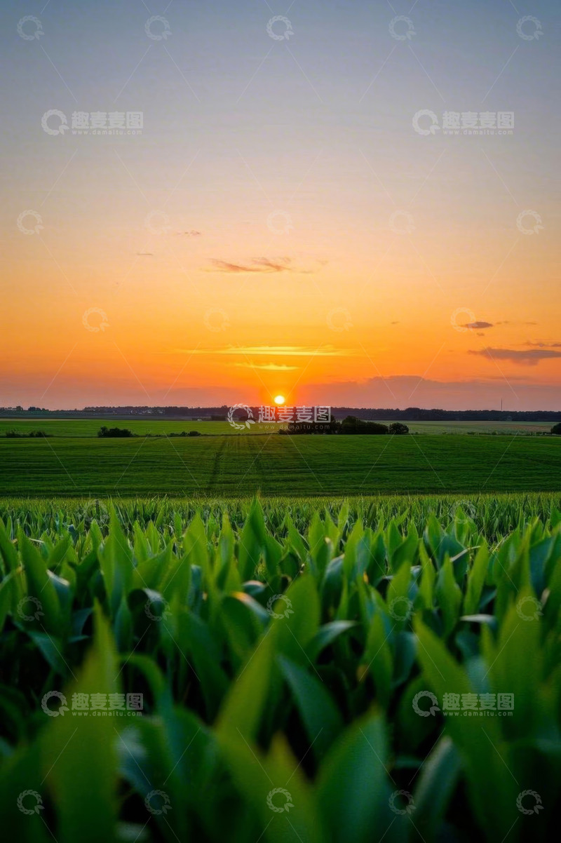 高清大图下载【趣麦麦图】田野上的日落景象