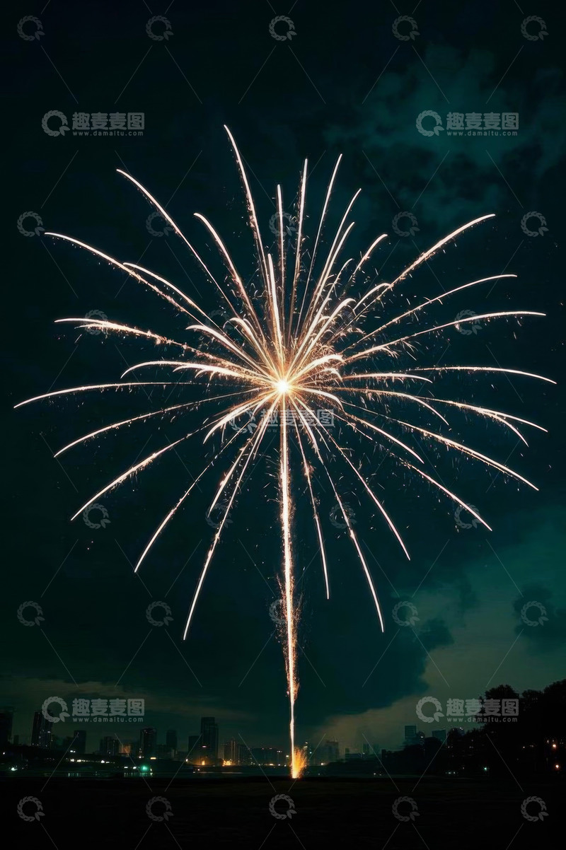 高清大图下载【趣麦麦图】夜空中绽放的绚丽烟花