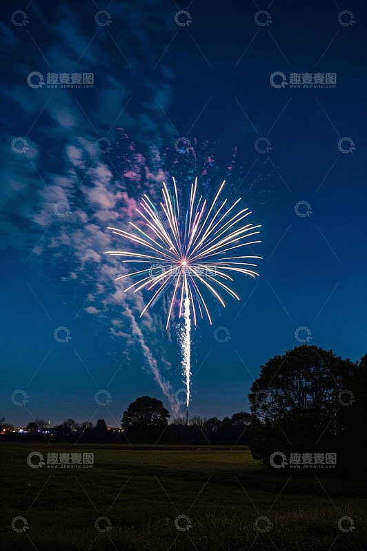 夜空下田野上绽放的烟花