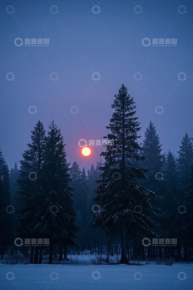 高清大图下载【趣麦麦图】雪地森林日出景观