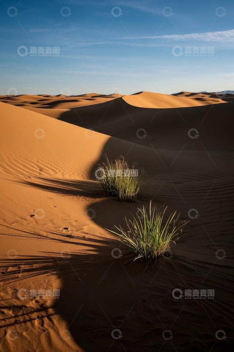 高清大图下载【趣麦麦图】沙漠沙丘与植被景观