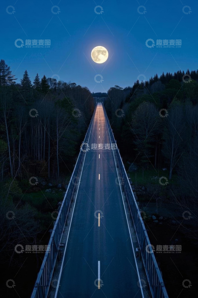 高清大图下载【趣麦麦图】月夜下的林间公路景象