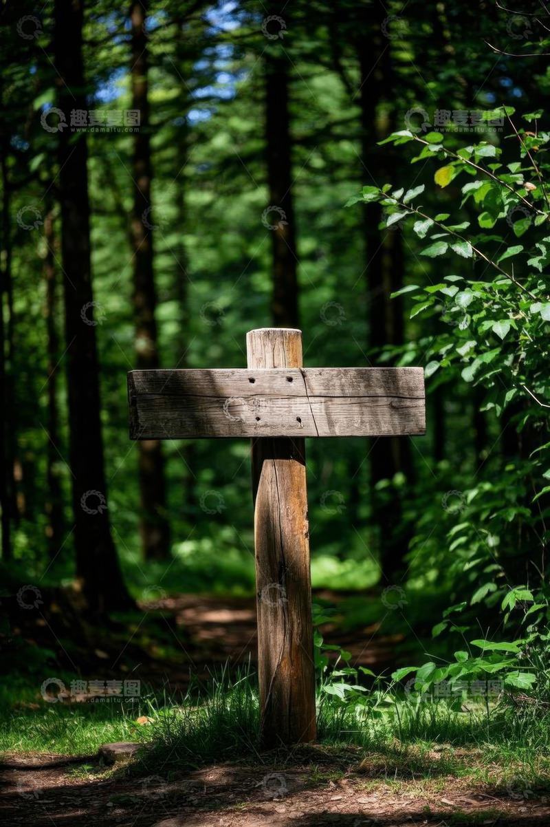 高清大图下载【趣麦麦图】森林中的木质指示牌