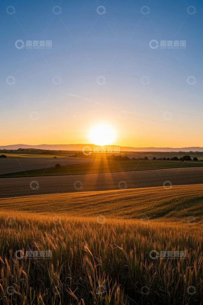 高清大图下载【趣麦麦图】麦田日落自然风光