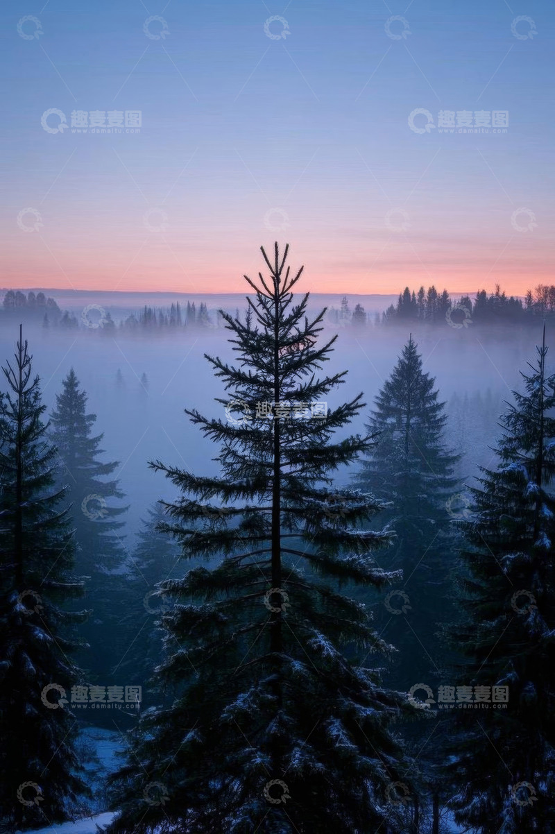 高清大图下载【趣麦麦图】雪后森林晨景