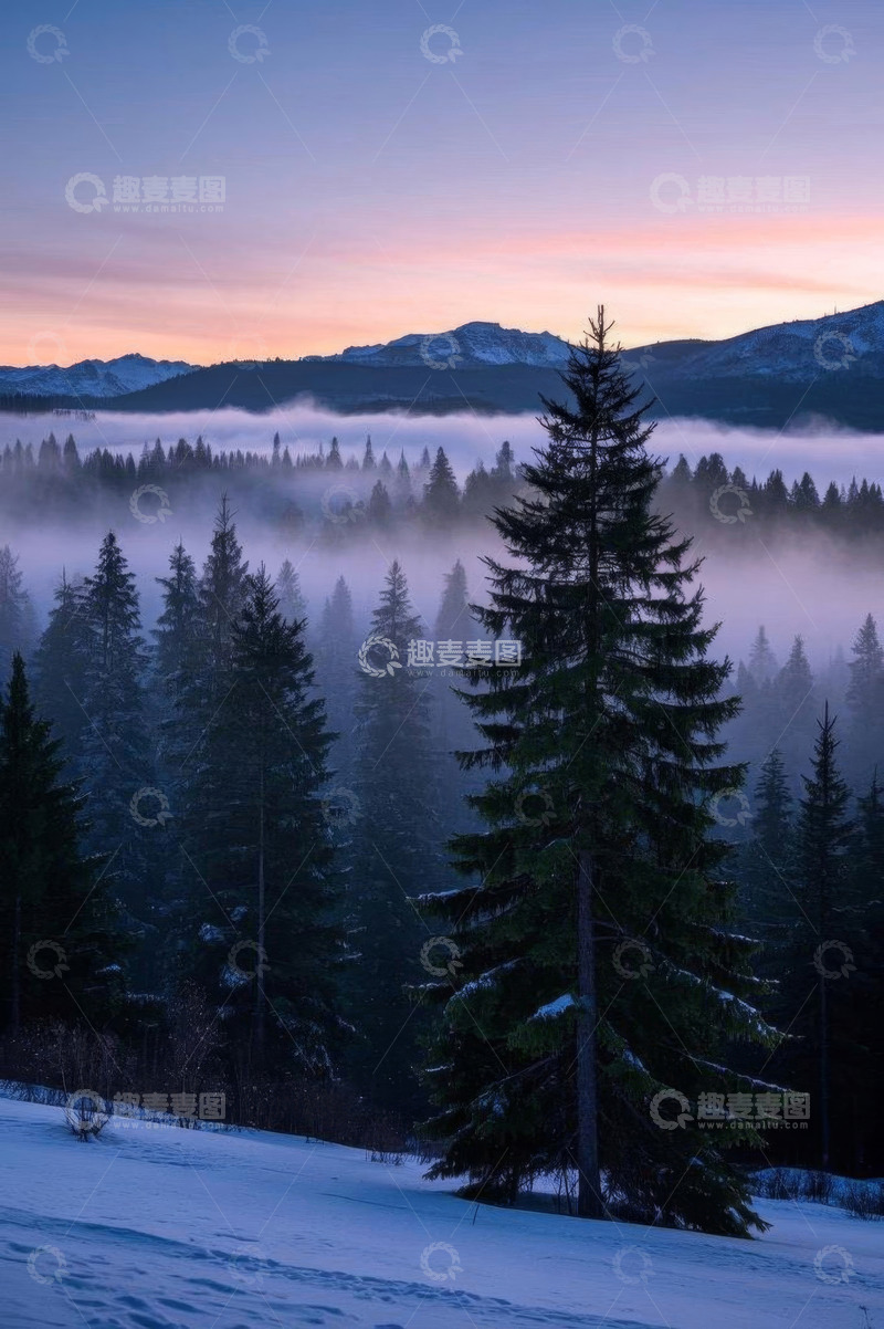 高清大图下载【趣麦麦图】雪景山麓森林晨景