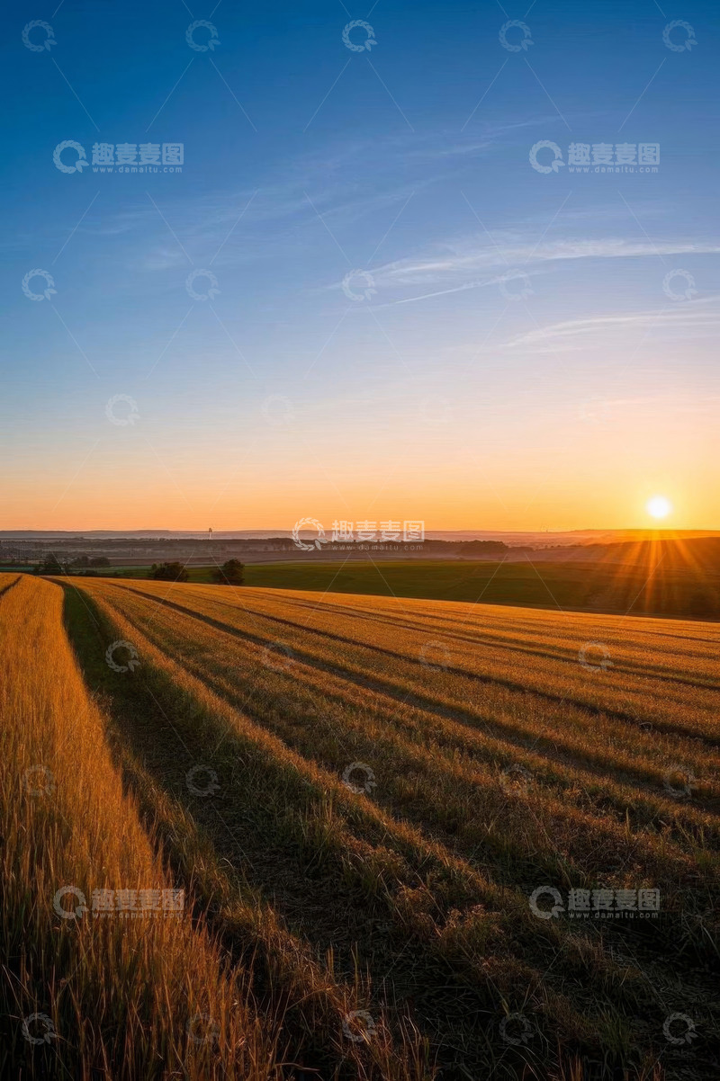 高清大图下载【趣麦麦图】麦田夕阳自然风光景象
