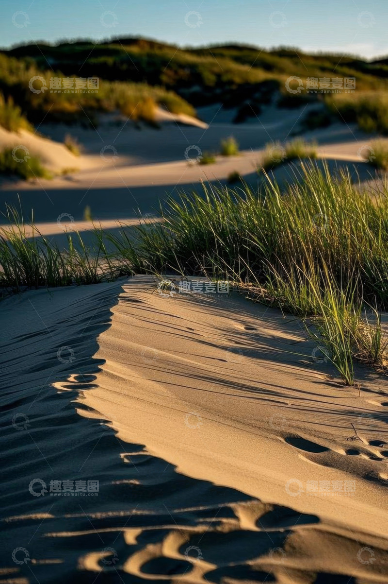 高清大图下载【趣麦麦图】户外沙丘与野草自然景观