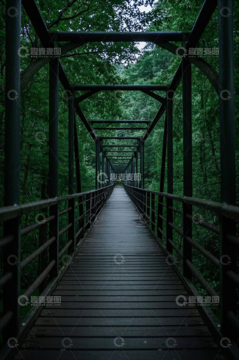 高清大图下载【趣麦麦图】森林中的木质栈道