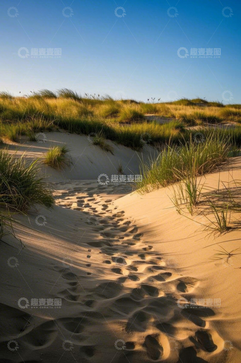 高清大图下载【趣麦麦图】沙丘上的脚印与植被景观