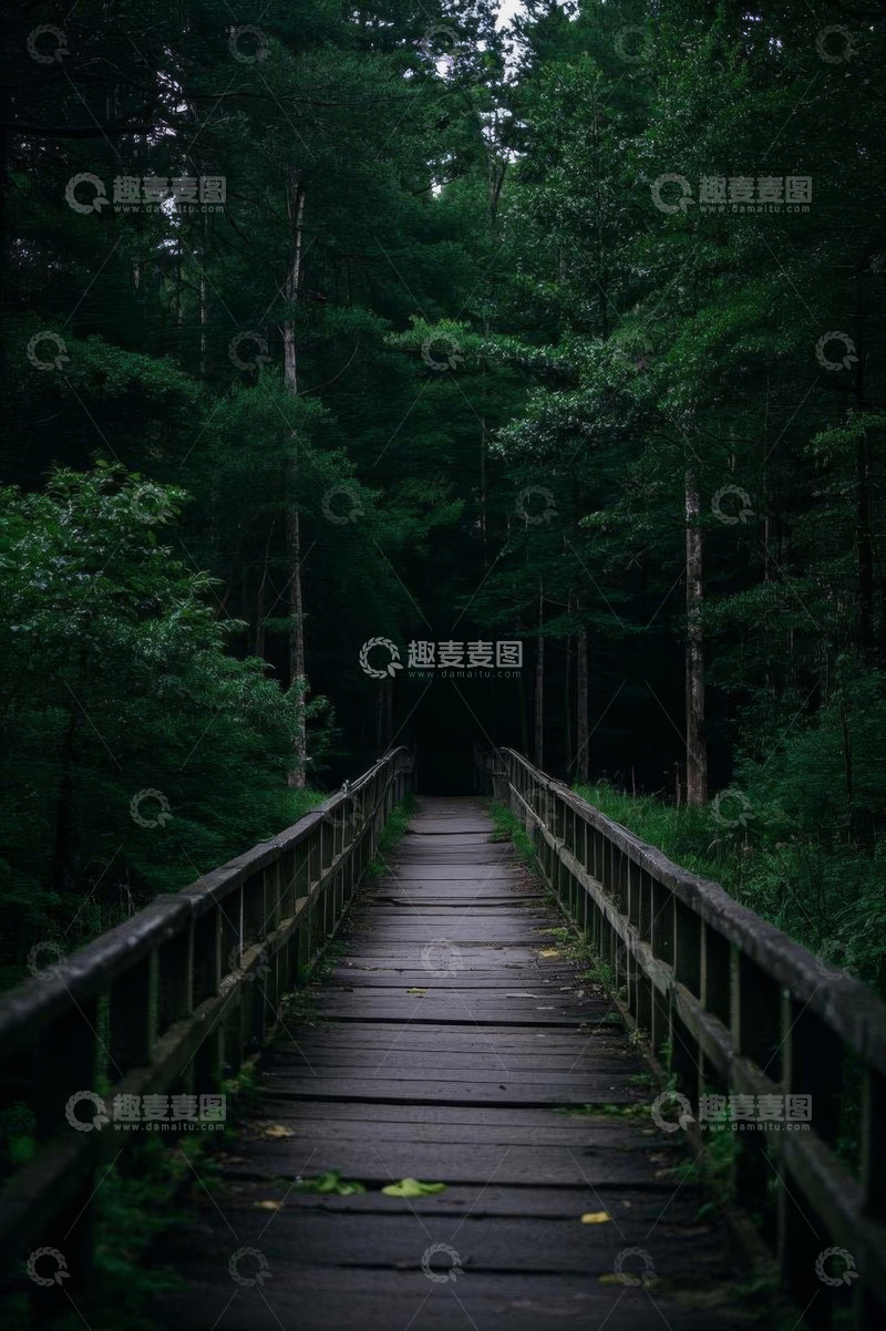 高清大图下载【趣麦麦图】森林中木质步道景象