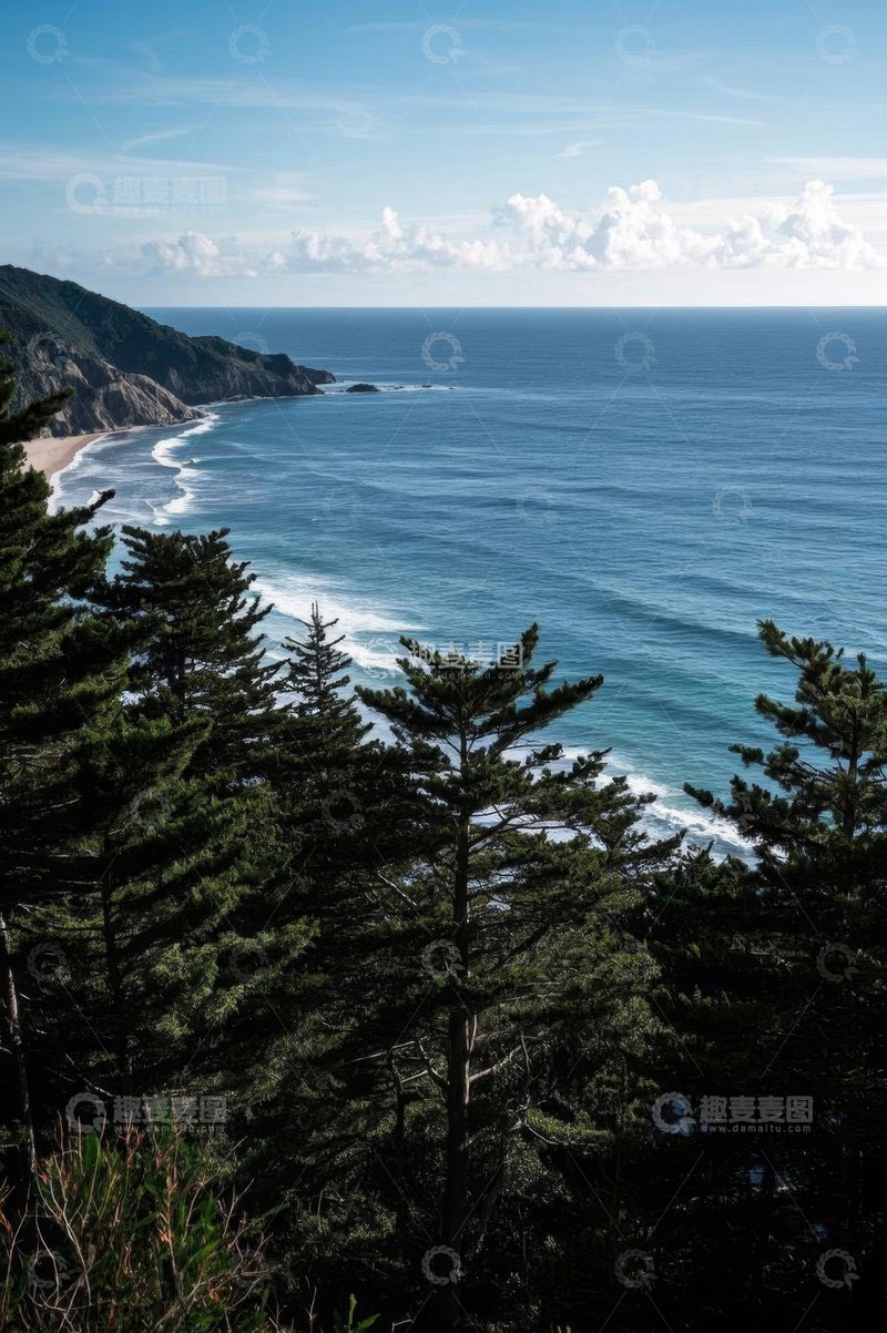 高清大图下载【趣麦麦图】海边松林与海岸线风景