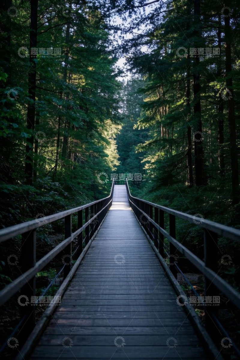 高清大图下载【趣麦麦图】森林中木质栈道风景