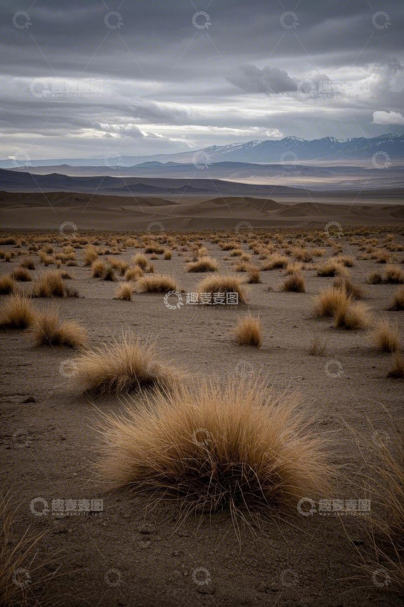高清大图下载【趣麦麦图】沙漠荒野远景与低矮植被