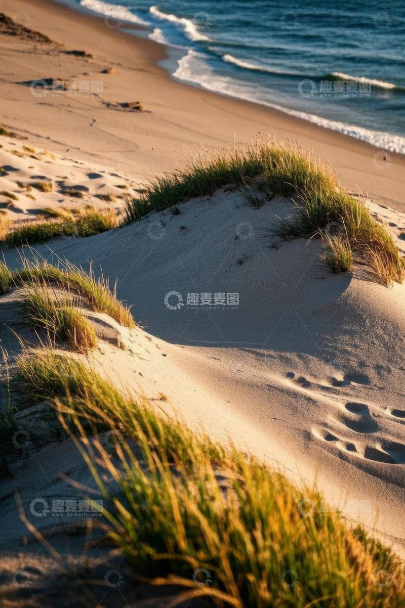 高清大图下载【趣麦麦图】海边沙滩与沙丘植被景观