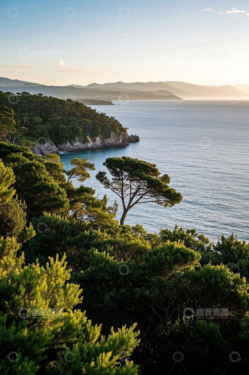 高清大图下载【趣麦麦图】海岸边茂密树林与辽阔海景