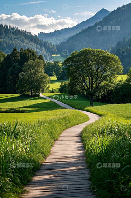山间草地木栈道自然风光