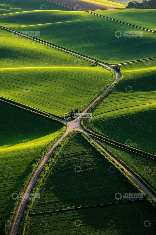 航拍田野间交错的道路景观