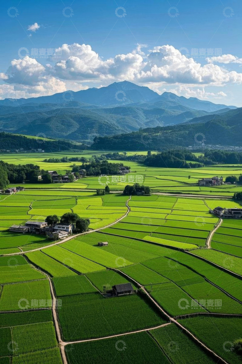 高清大图下载【趣麦麦图】乡村田园稻田风光俯瞰