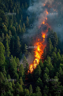 森林火灾场景俯瞰