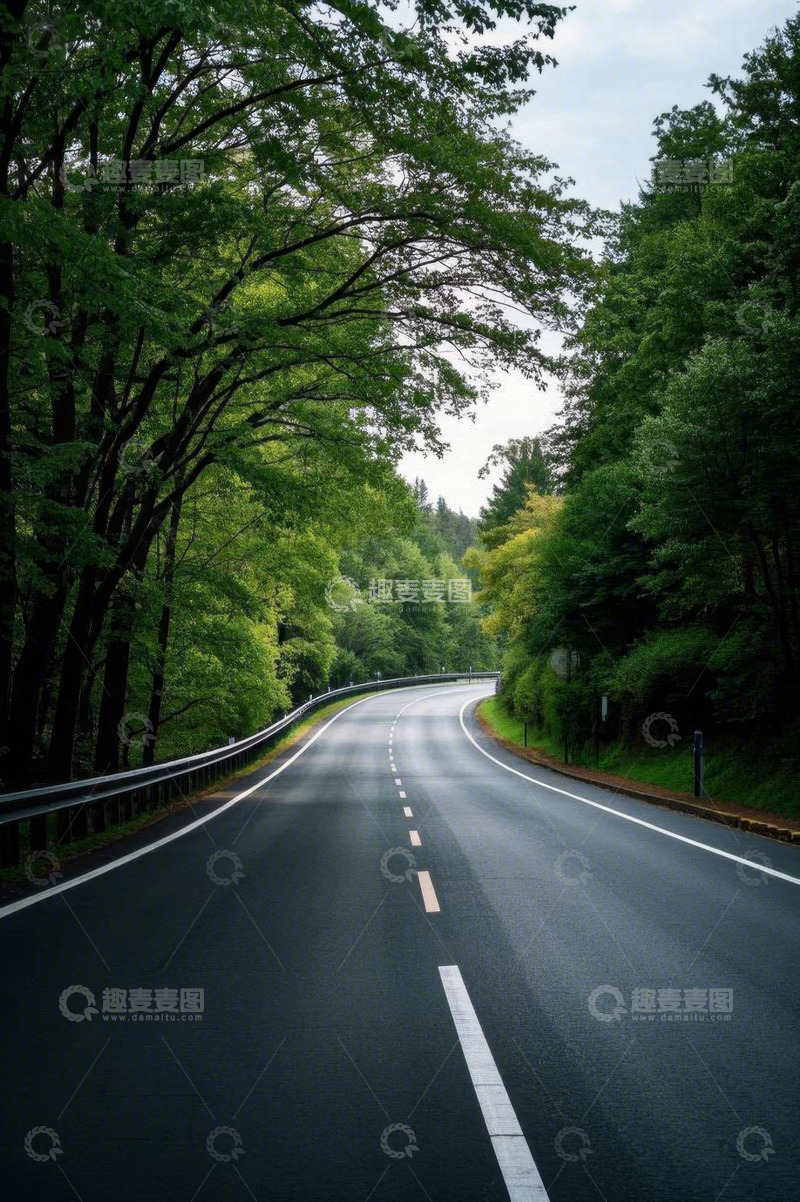 高清大图下载【趣麦麦图】林间公路风景