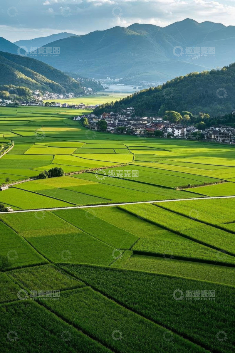 高清大图下载【趣麦麦图】俯瞰乡村绿色稻田与村庄