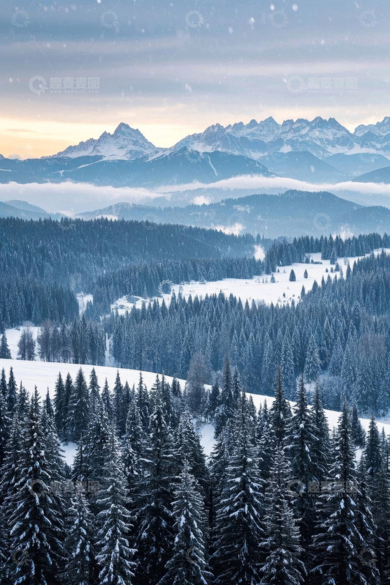 高清大图下载【趣麦麦图】雪山下的森林雪景全景