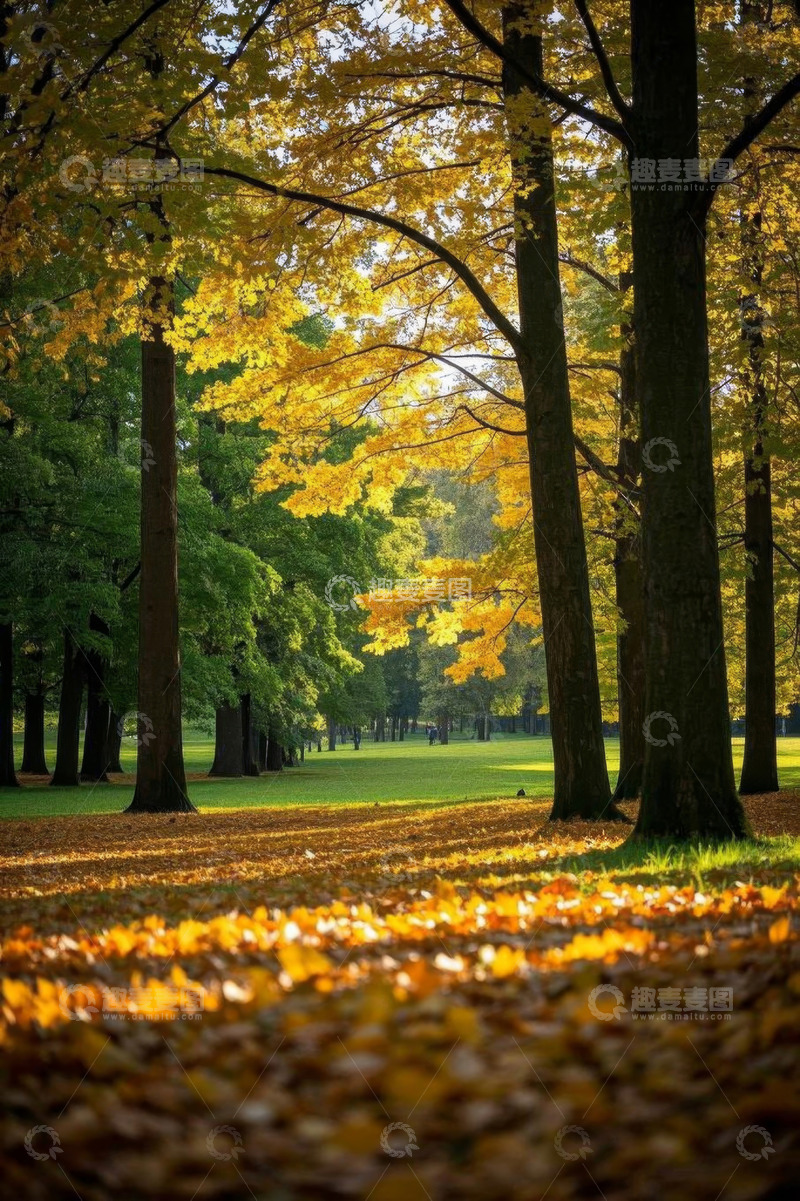 高清大图下载【趣麦麦图】秋日公园树林风景
