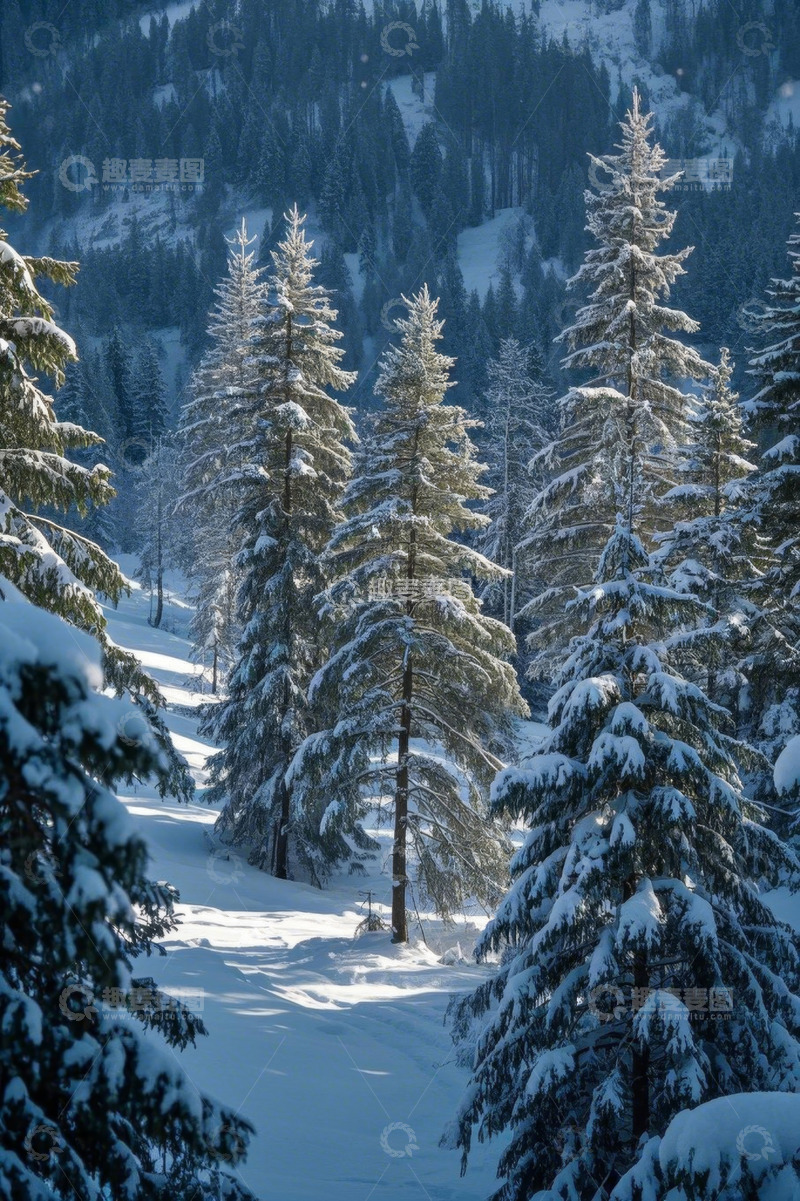 高清大图下载【趣麦麦图】雪覆盖的森林自然风光