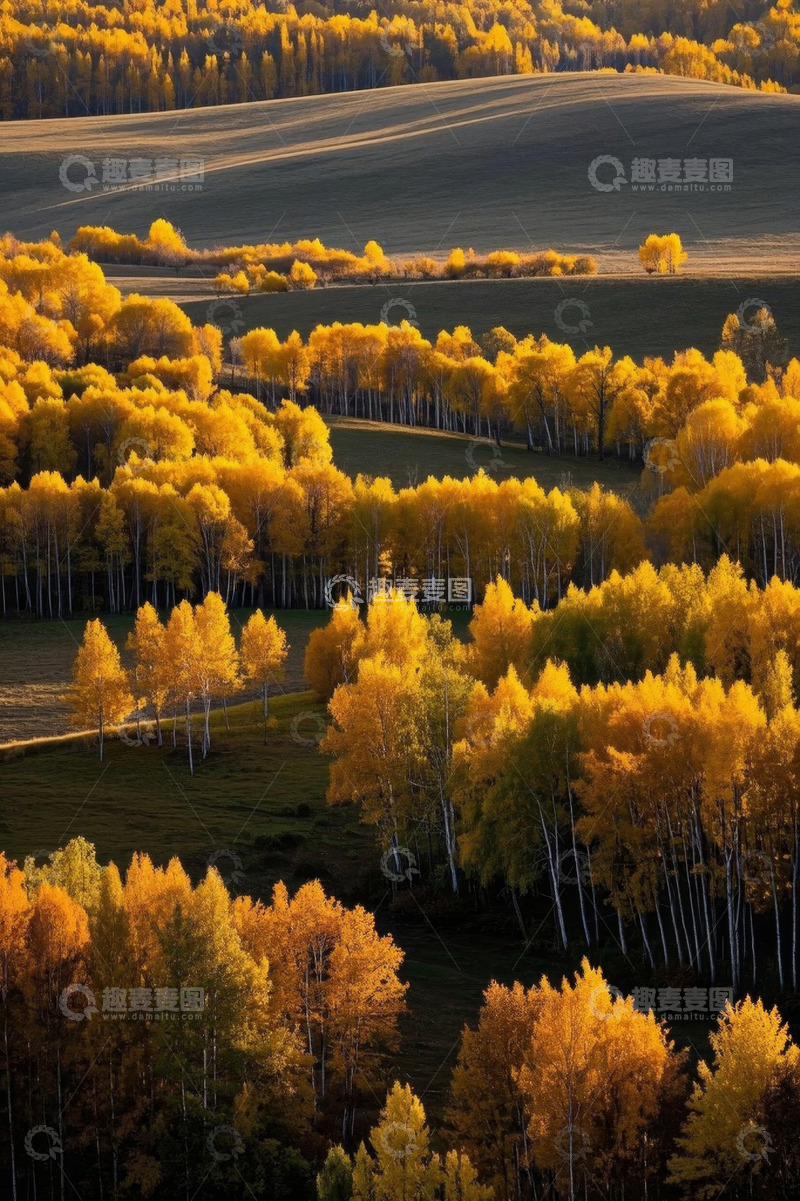 高清大图下载【趣麦麦图】秋季原野金黄树林风景