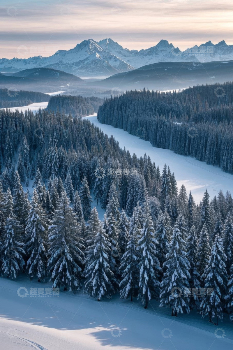 高清大图下载【趣麦麦图】雪山下的冬日森林全景
