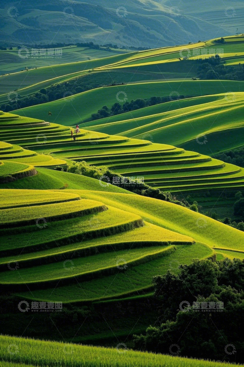 高清大图下载【趣麦麦图】户外梯田自然风光