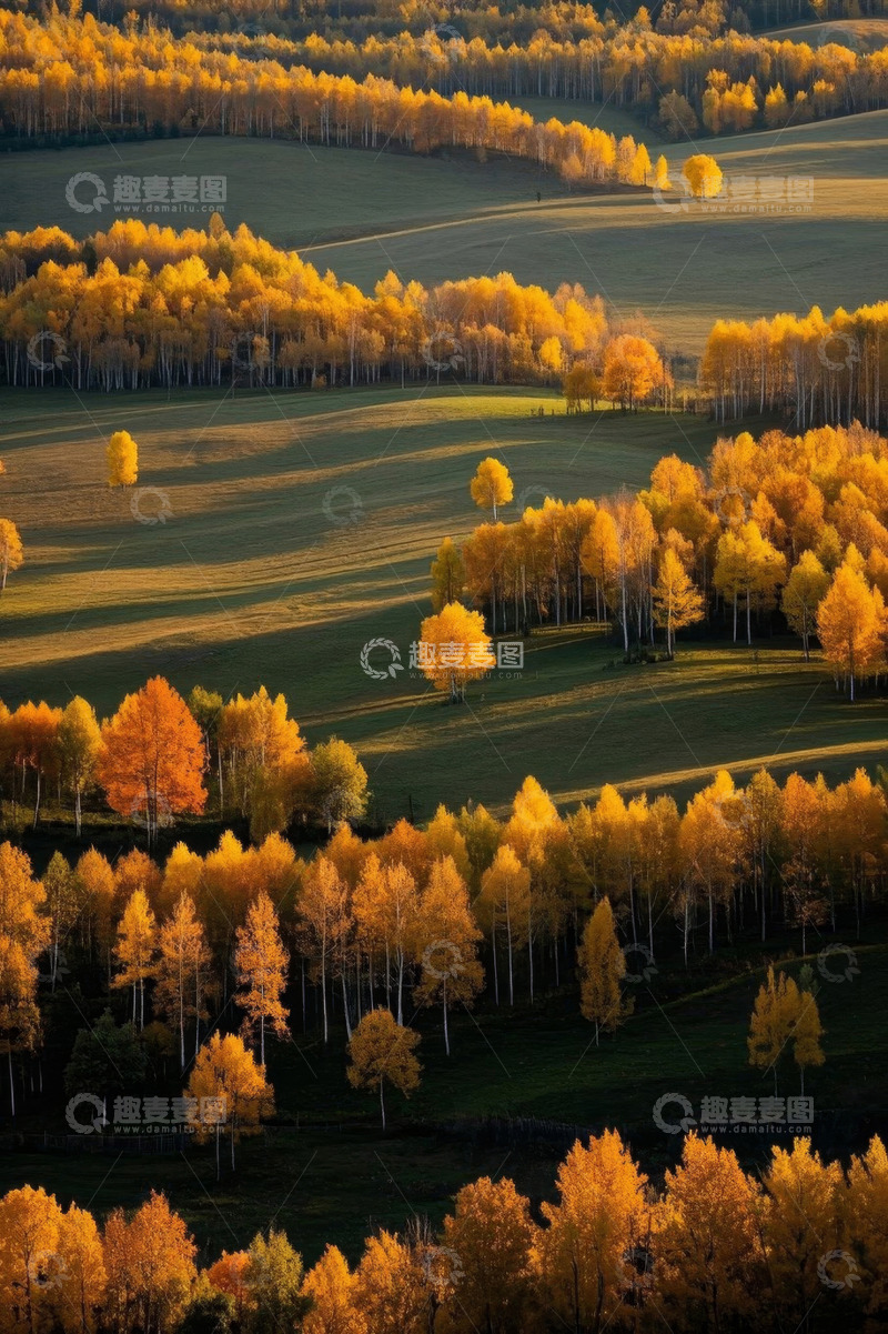高清大图下载【趣麦麦图】秋季山林黄绿相间风景