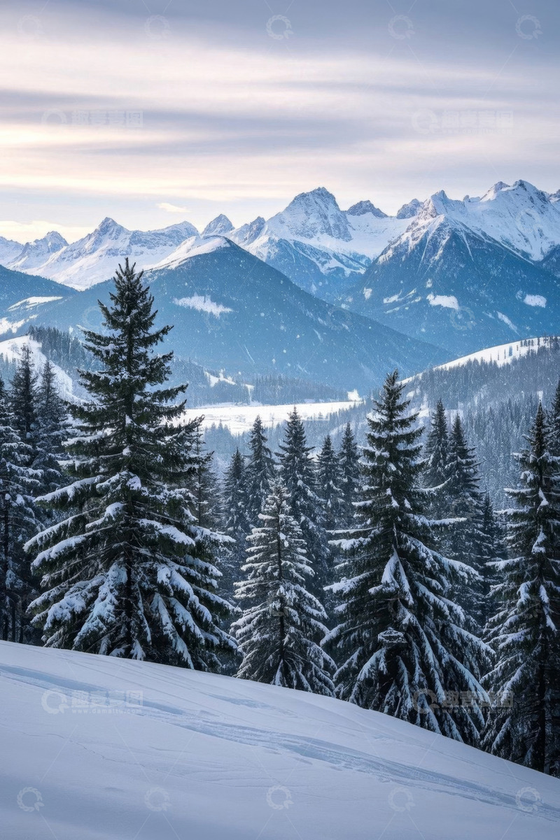 高清大图下载【趣麦麦图】雪山森林自然景观