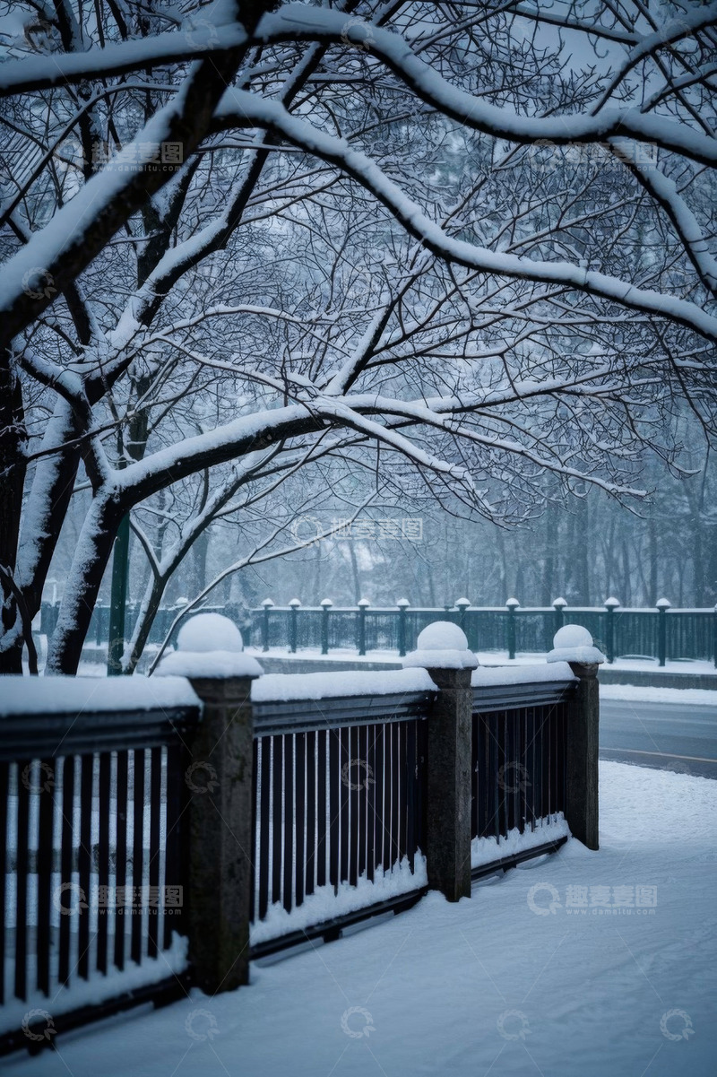 高清大图下载【趣麦麦图】雪后街道旁积雪覆盖的树木与围栏
