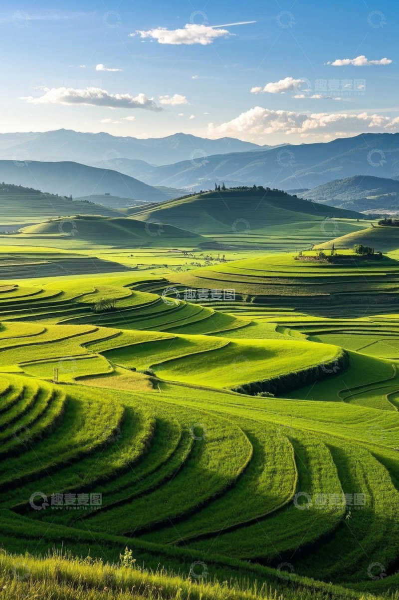 高清大图下载【趣麦麦图】田园风光梯田全景