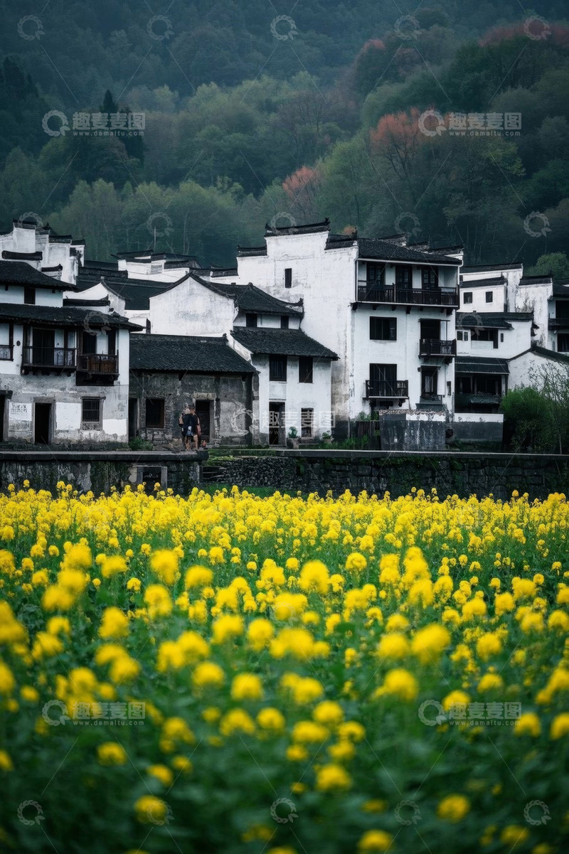 高清大图下载【趣麦麦图】乡村油菜花田旁的徽派民居