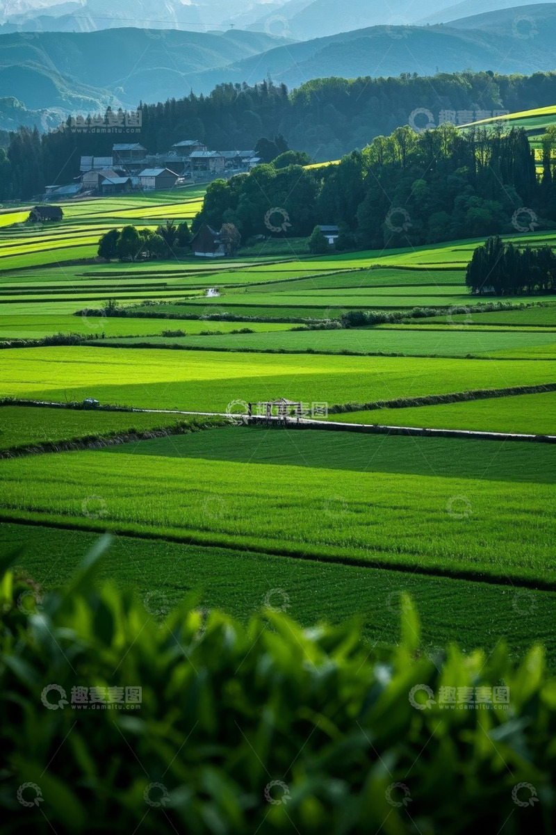 高清大图下载【趣麦麦图】乡村田园稻田与山林景观