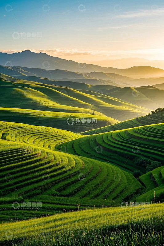 山间绿色梯田自然风光