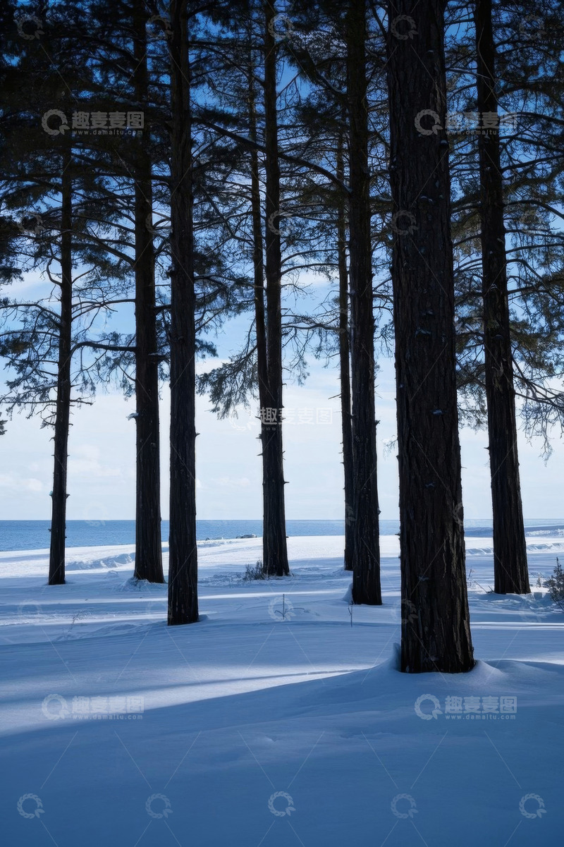 高清大图下载【趣麦麦图】冬日雪覆盖的森林与远处水域