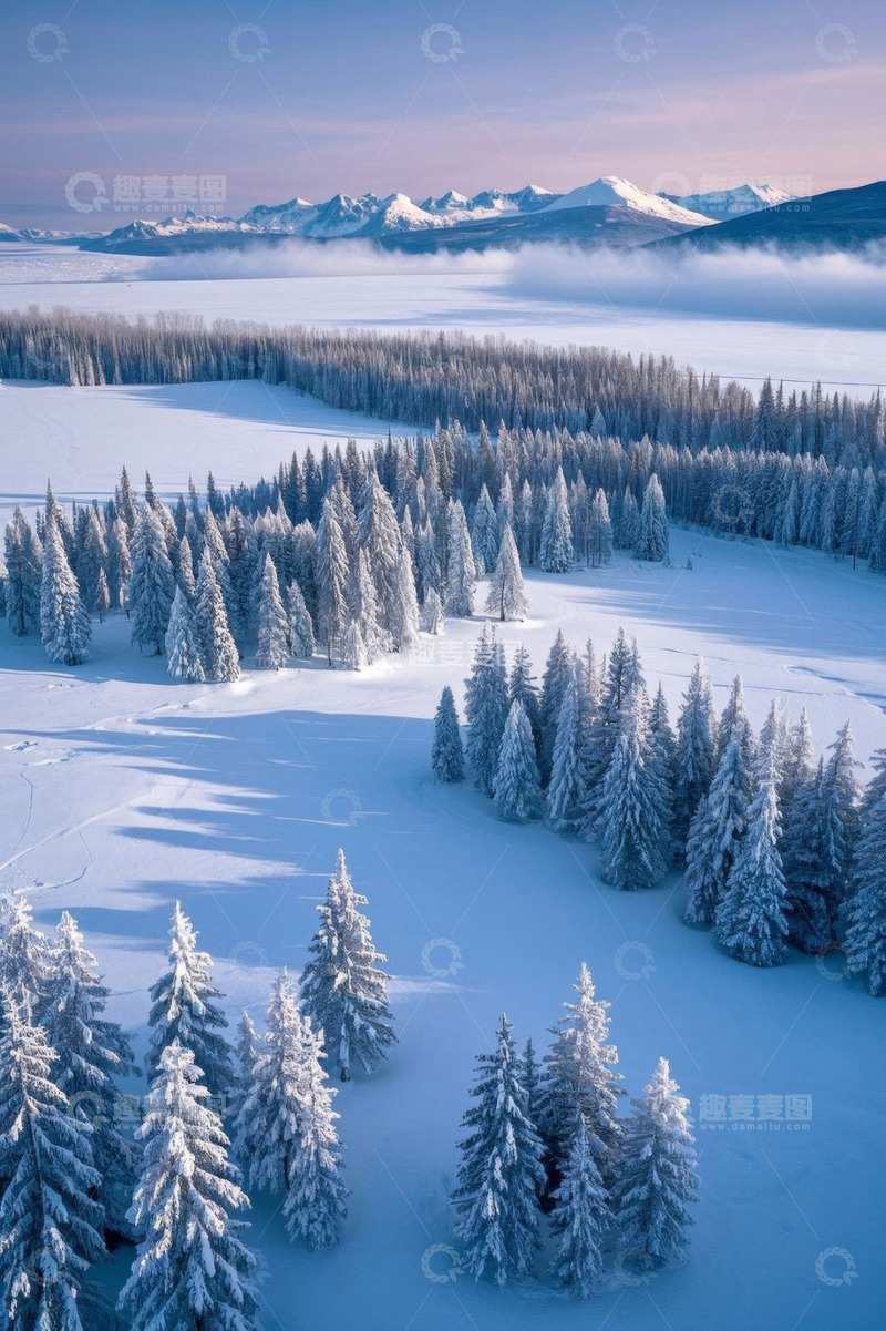 高清大图下载【趣麦麦图】雪覆盖的森林与远山景观