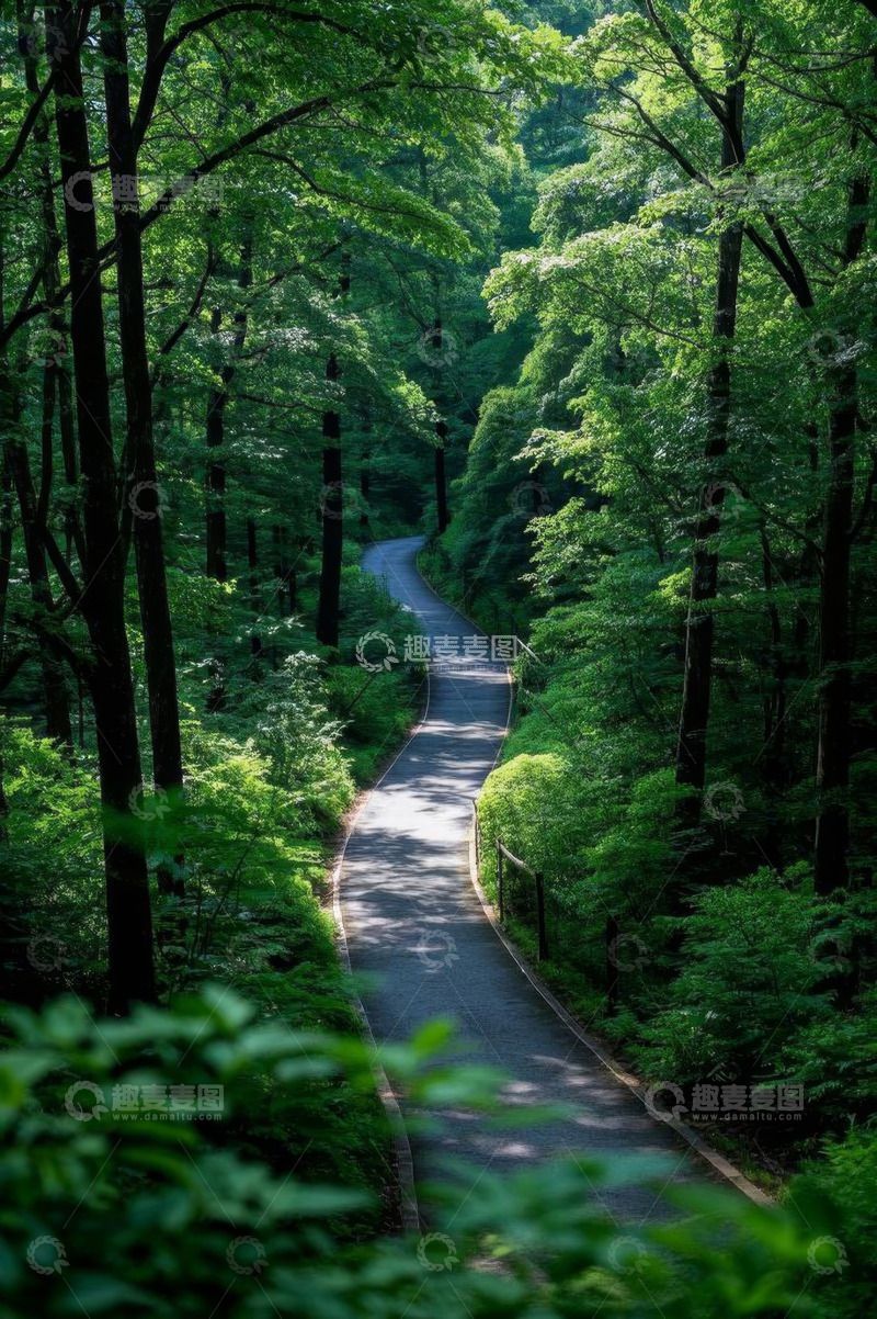 高清大图下载【趣麦麦图】林间蜿蜒小路自然风光