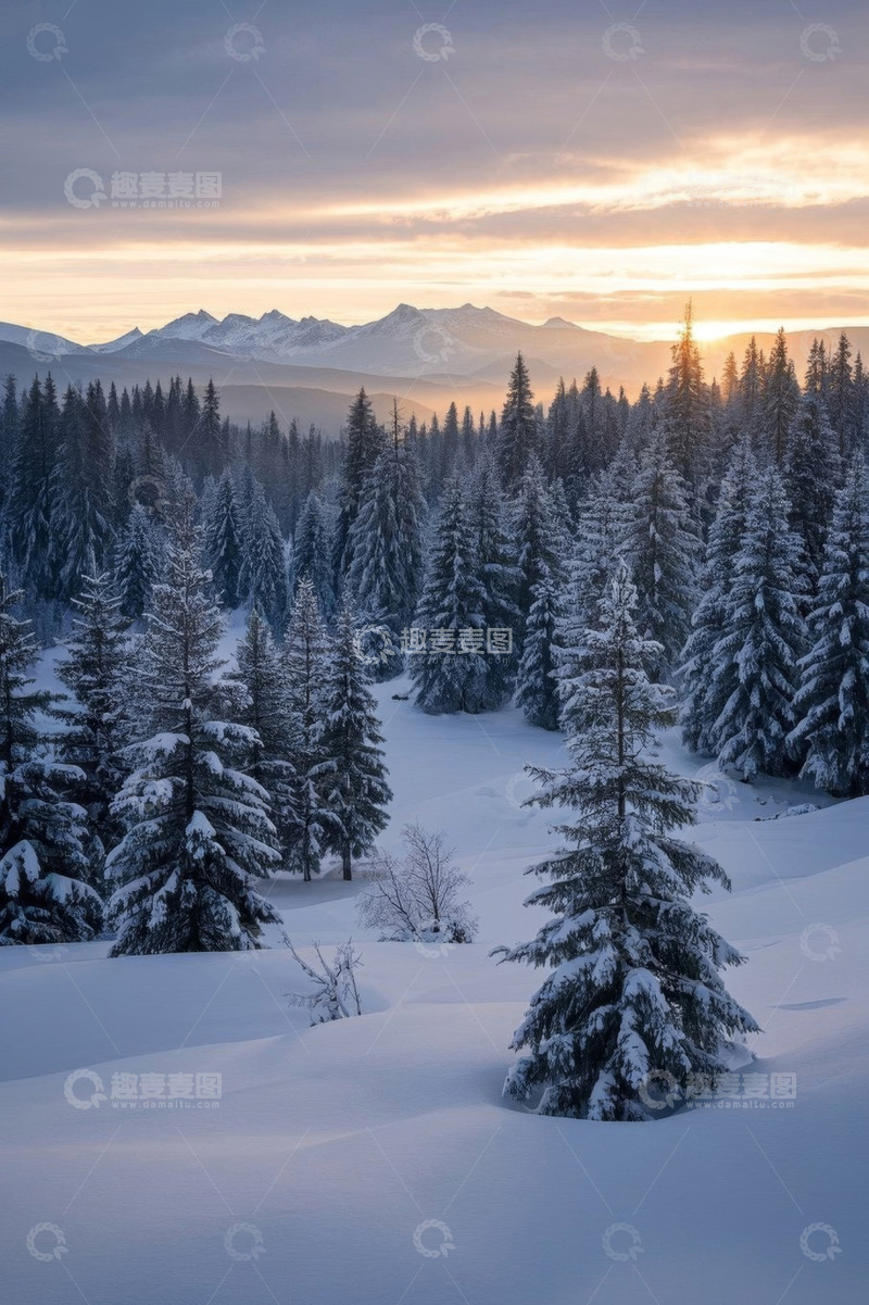 高清大图下载【趣麦麦图】雪后森林与远山日落景象