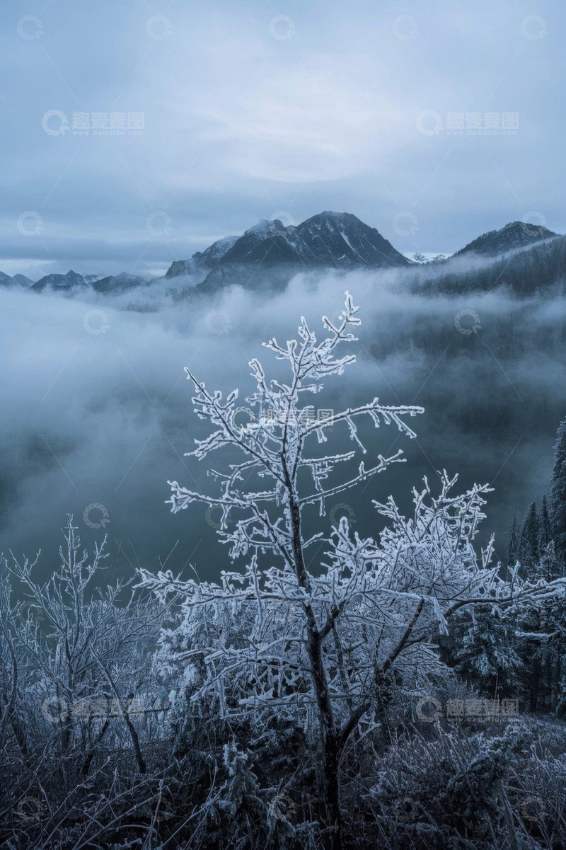 高清大图下载【趣麦麦图】山间雾凇覆盖树木与山峦景观