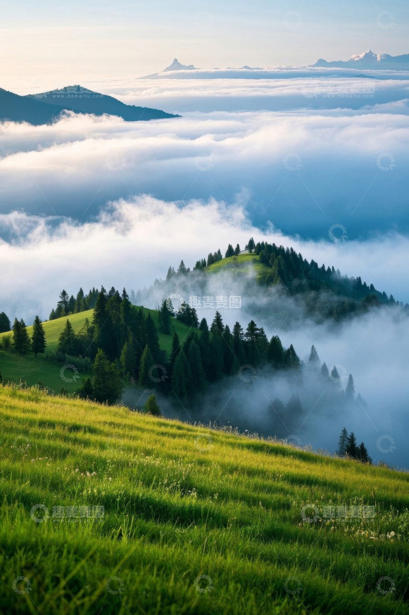 高清大图下载【趣麦麦图】山间云海森林清晨风景