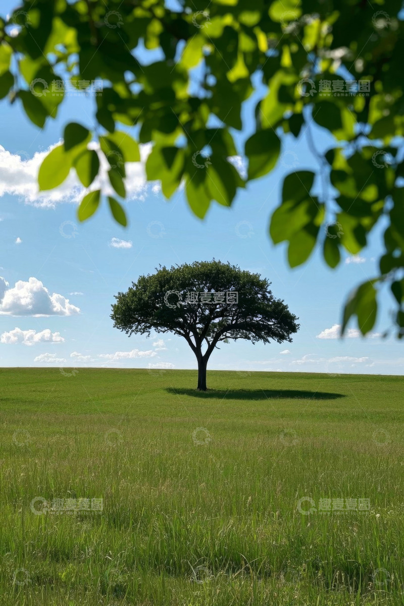 高清大图下载【趣麦麦图】草原上的独立树木风景