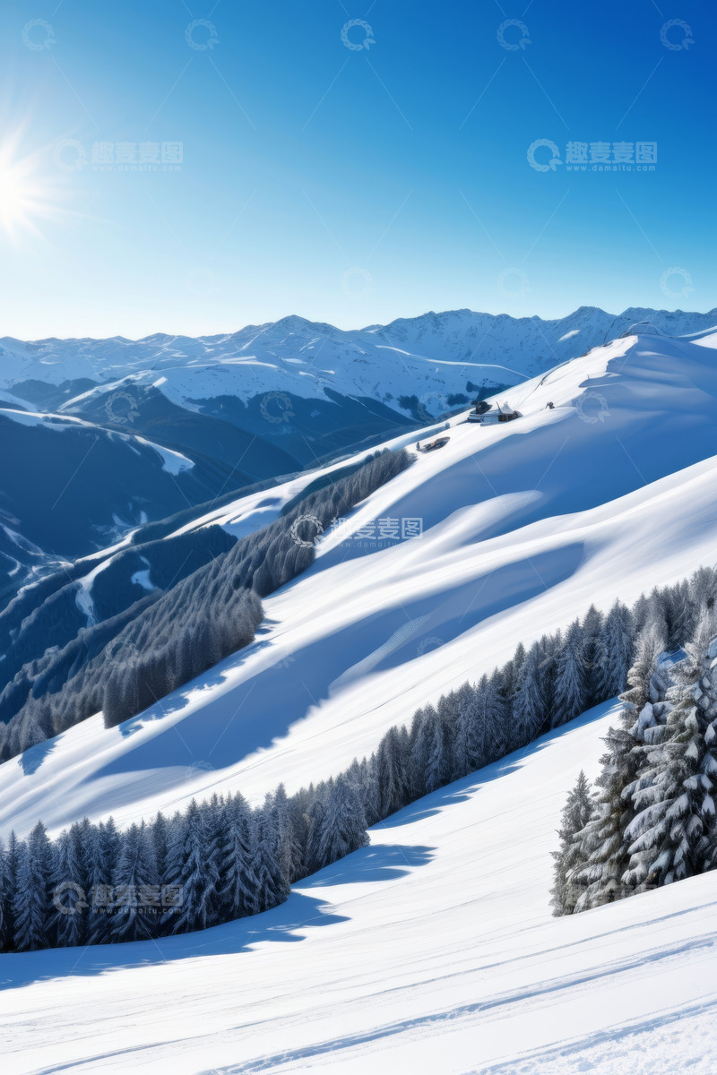 高清大图下载【趣麦麦图】雪山松林户外自然风光